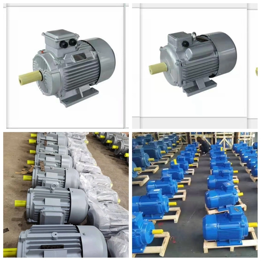 Anp Cast Iron Aluminum Body Y2 Y Ye2 Yc Yl Y3 0.12kw-350kw Asynchronous GOST Standard Three Single Phase Induction Copper Wire AC Electrical Electric Motor