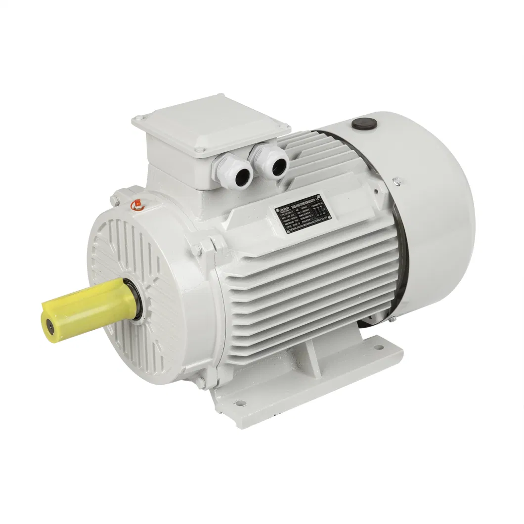 GOST Anp Air 0.25kw 315kw 2 4 6 Pole Cast Iron Y2 Y Ye2 Ye3 Ie2 Ie3 Three Single Phase Asynchronous Induction AC Electric Electrical Motor Factory Manufacturer