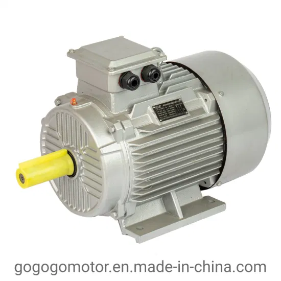 GOST Anp Air 0.25kw 315kw 2 4 6 Pole Cast Iron Y2 Y Ye2 Ye3 Ie2 Ie3 Three Single Phase Asynchronous Induction AC Electric Electrical Motor Factory Manufacturer