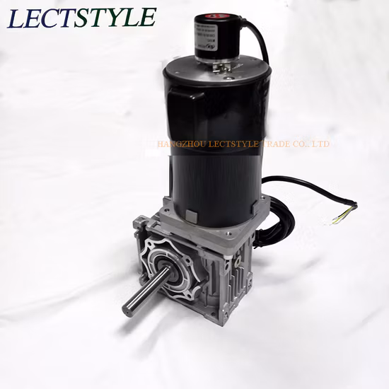 24V 320W 53rpm DC Worm Gear Reducer Motor