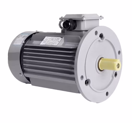 Asynchronous Induction Electrical Motor AC Ie3 Premium Efficiency Electrical Motor for Water Pump