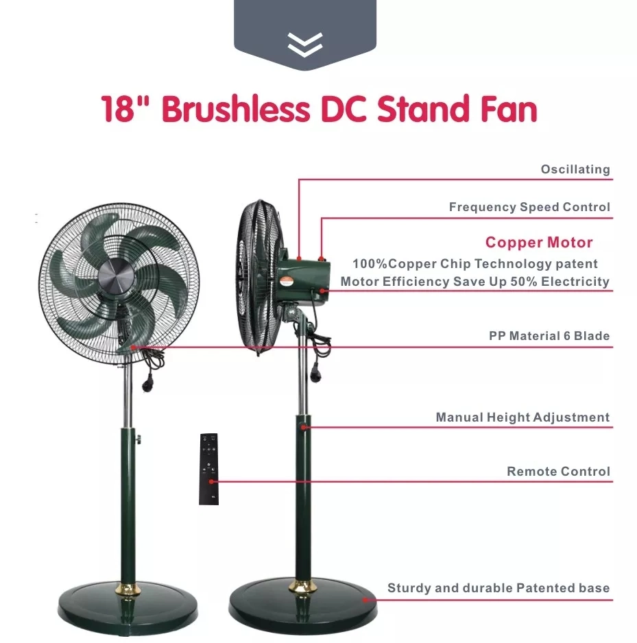 Stand Fan 220V Pedestal Fan DC Motor -Free Speed -Regulating Frequency