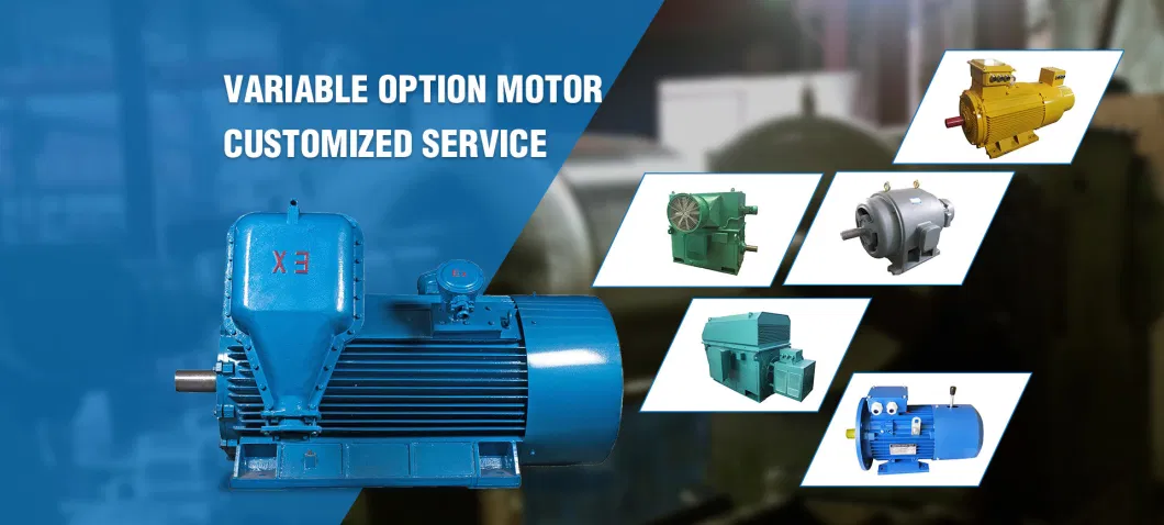 AC Three Phase Electric Motor Industry Induction Motor