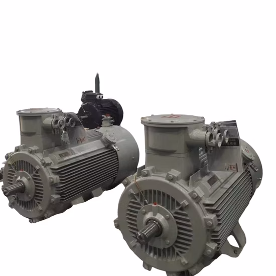 IEC Standard 3 Phase AC High Efficiency Electric Motor 50Hz/60Hz High/Low Voltage