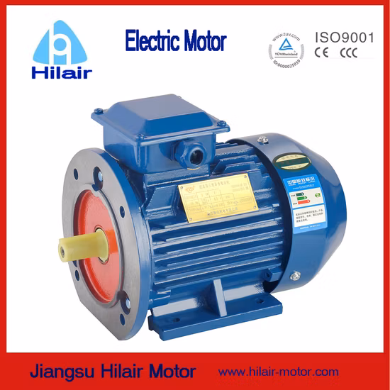 Ye3 Premium High Efficiency Three Phase Induction AC Electric Asynchronous Motor