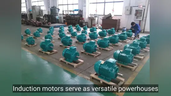 IEC Standard 3 Phase AC High Efficiency Electric Motor 50Hz/60Hz High/Low Voltage
