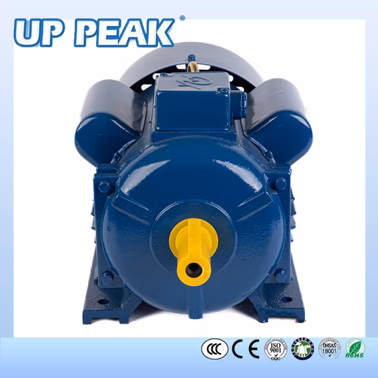 Chinese Single Three Phase 1.5kw 2HP 5.5kw 132m 132sb 160m Capacitor Start Run AC Asynchronous Induction Electric Electrical Motor Manufacturer Supplier Factory