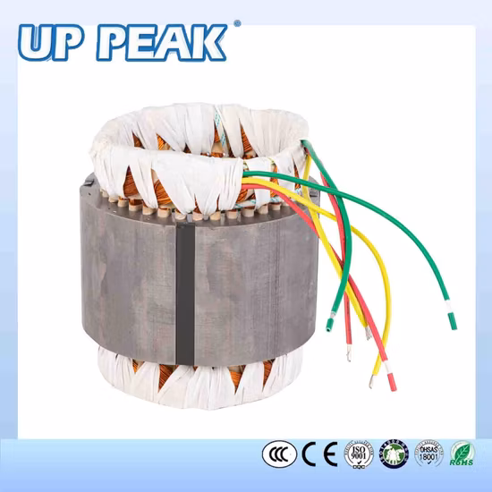 Three Phase Electric Motor CCC CE for Pump Fans, OEM High Efficiency Motor