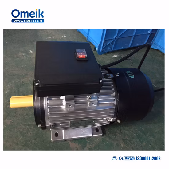 Dual Capacitors Single Phase Asynchronous Aluminium Housing High Torque Low Noise 230V Electric AC Motor